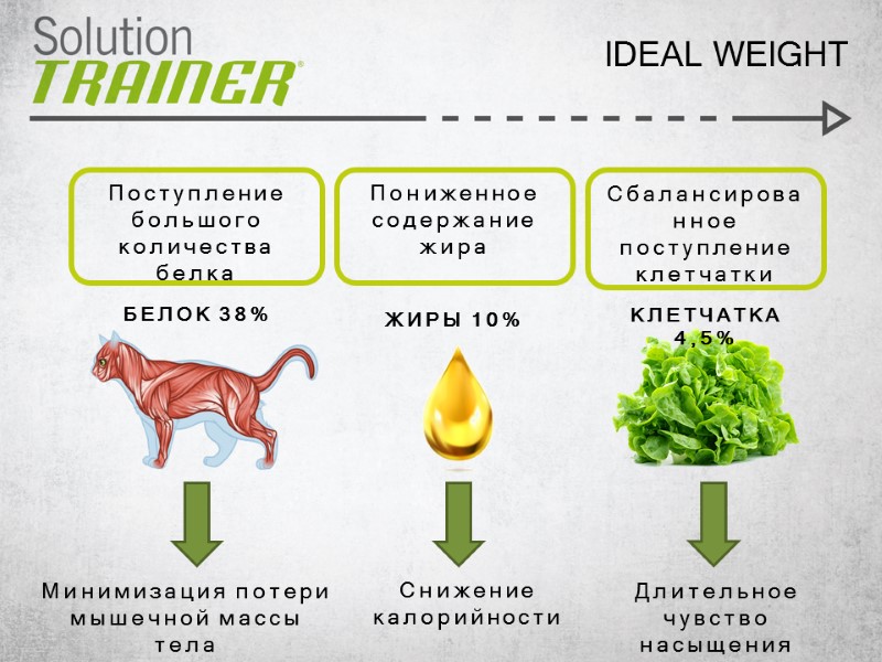 IDEAL WEIGHT Поступление большого количества белка  БЕЛОК 38%  Пониженное содержание жира 